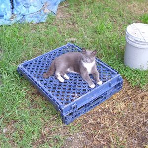 Meet your Posher, Dora lea